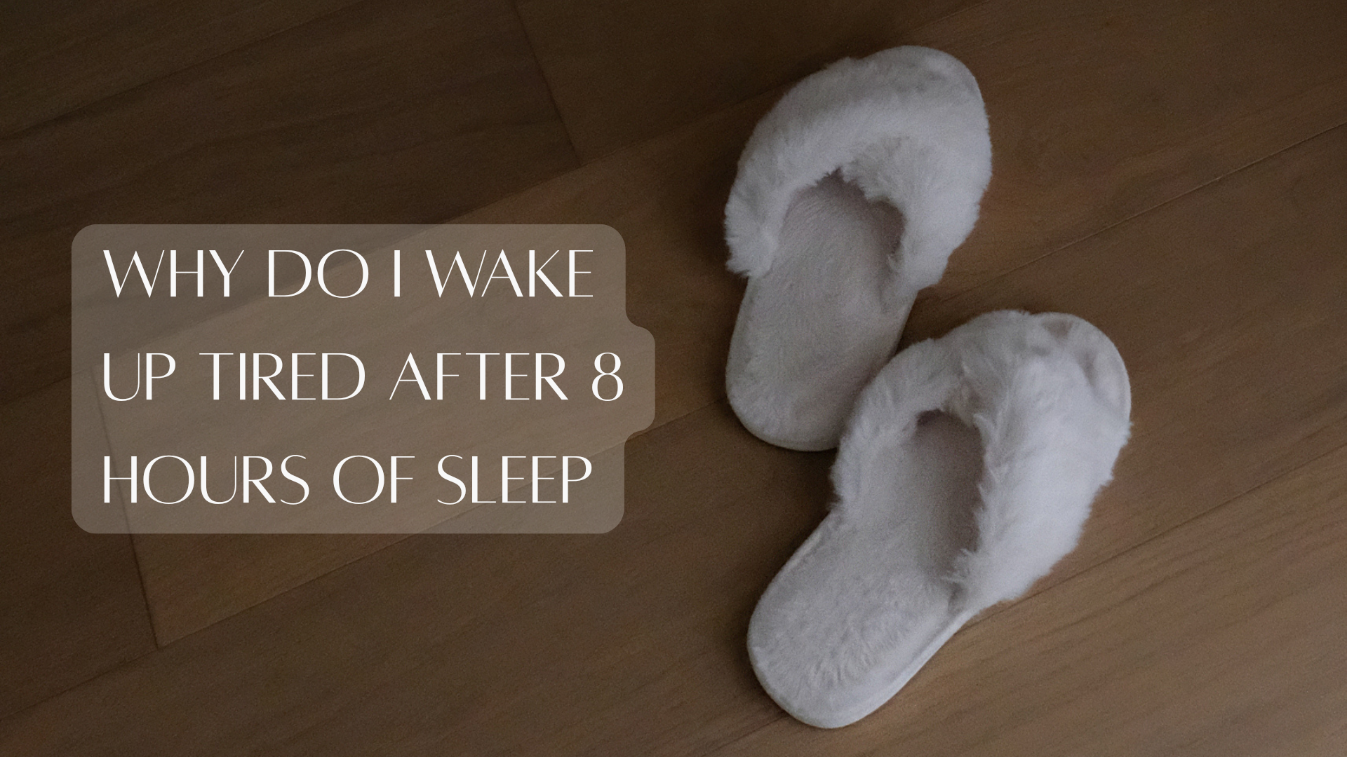 The Singletarys – Why Do I Wake Up Tired After 8 Hours of Sleep Why Do I Wake Up Tired After 8 Hours of Sleep